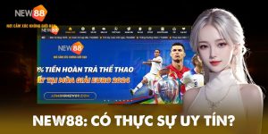 Tổng quan về nhà cái NEW88